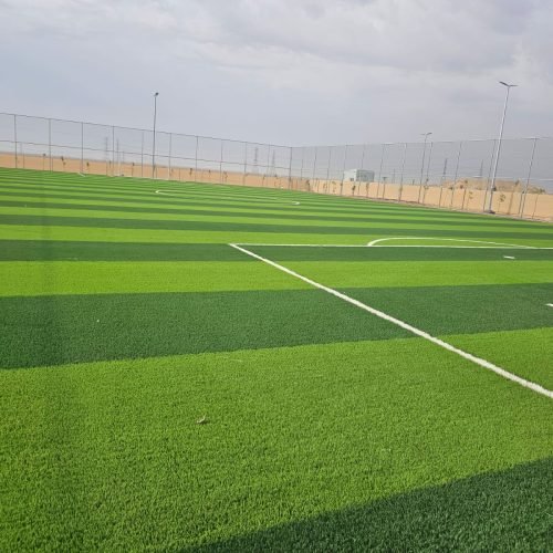 WhatsApp Image 2026-01-21 at 5.53.39 PM (1)