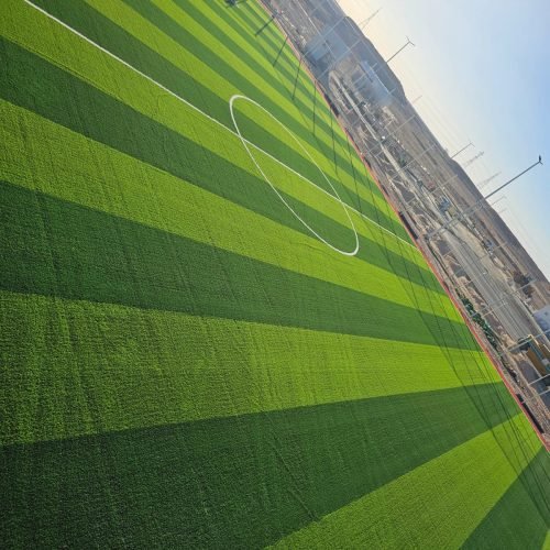 WhatsApp Image 2026-01-21 at 5.53.44 PM (1)