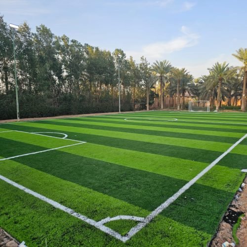 WhatsApp Image 2026-01-21 at 5.53.44 PM